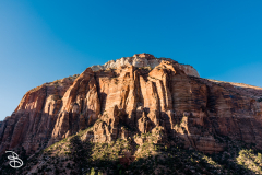 zion-2026-41