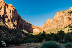 zion-2026-42