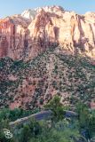 zion-2026-43