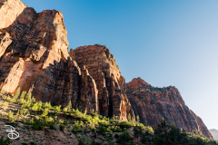 zion-2026-44