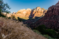 zion-2026-46