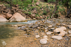 zion-2026-6