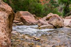 zion-2026-7