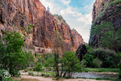 zion-2026-9
