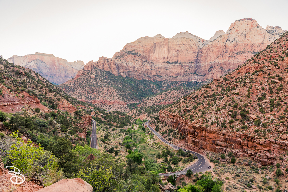 zion-2026-45