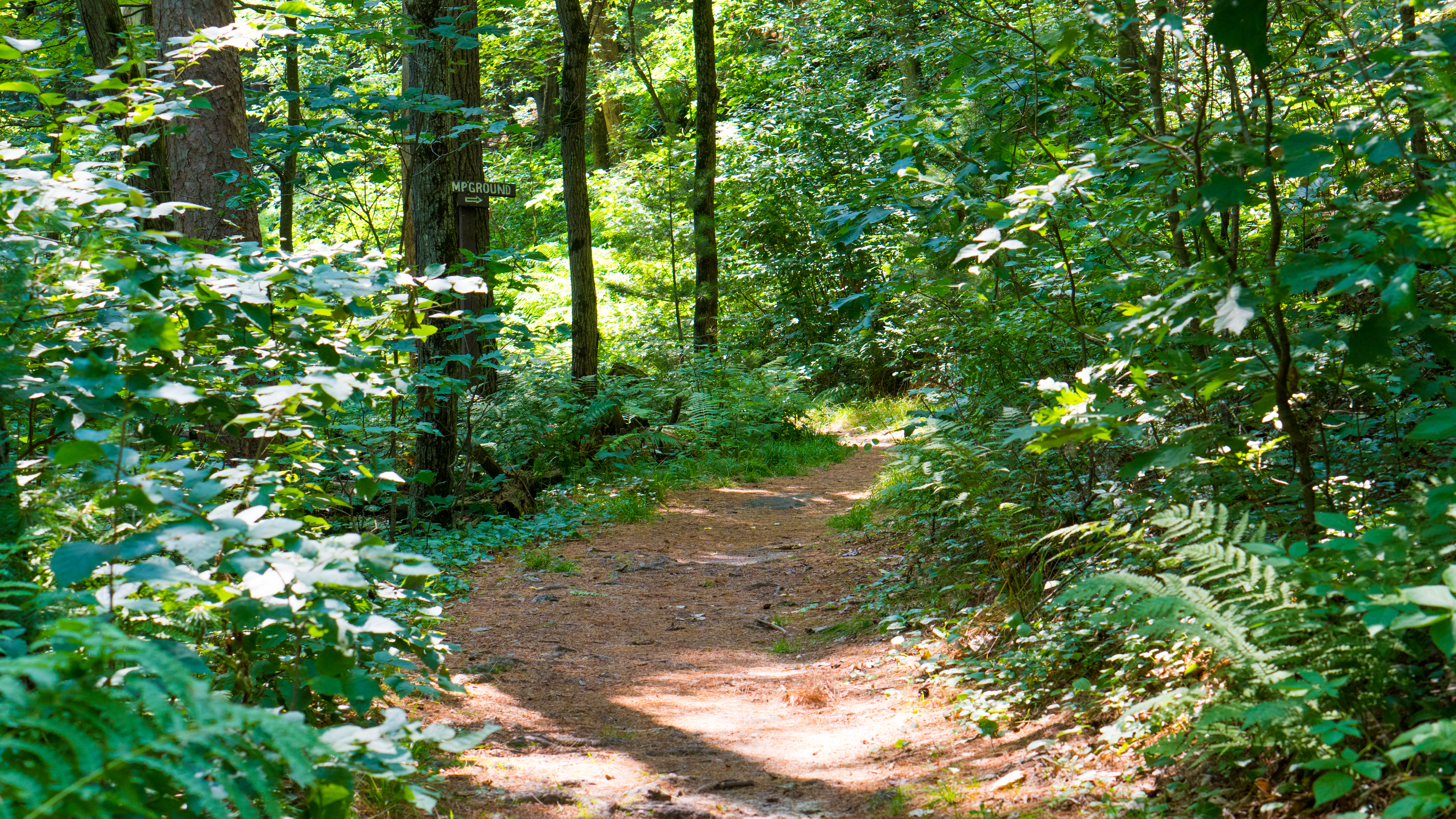 Rocky Arbor State Park