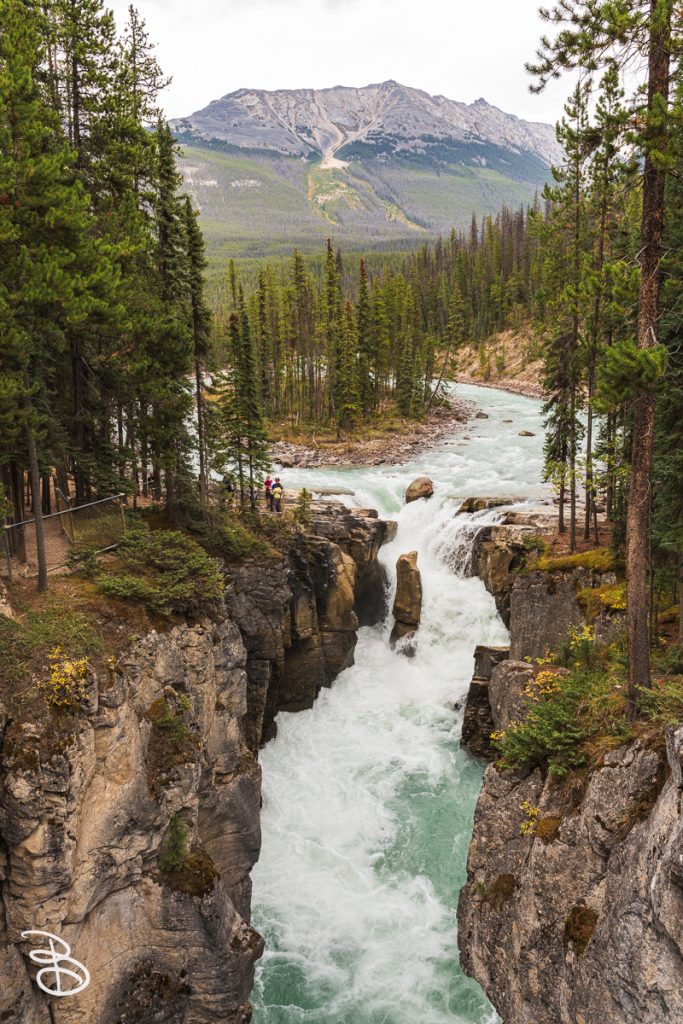 ip-sunwapta-falls-1
