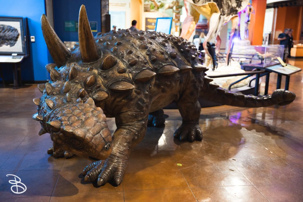 sd-natural-history-museum-13