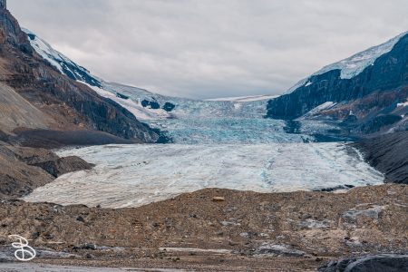 1_ip-columbia-icefield-11
