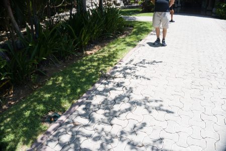 DSC00447