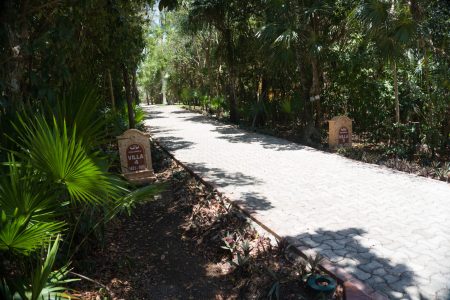 DSC00455