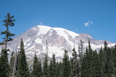 DSC01146