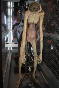 DSC01771