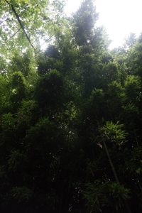 DSC01855