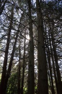 DSC01920