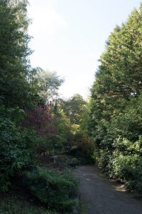 DSC01928