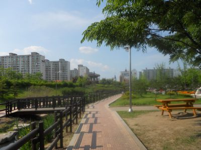 DSCN0461