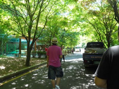DSCN0478