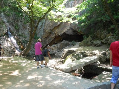 DSCN0480