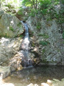 DSCN0483