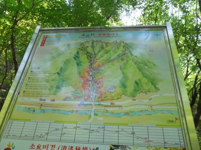 DSCN0486