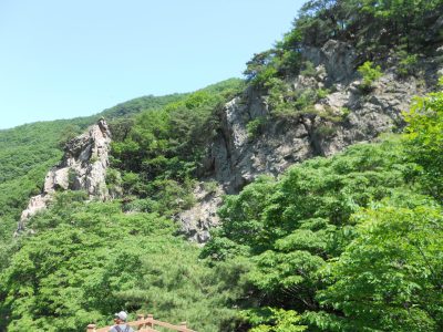 DSCN0487