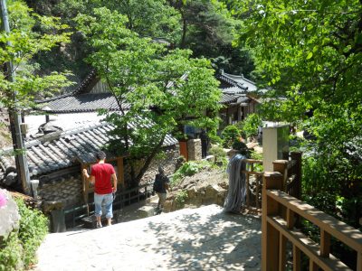 DSCN0493