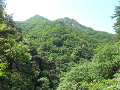 DSCN0506