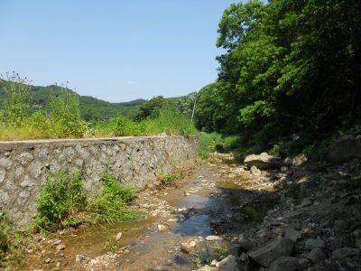 DSCN0524