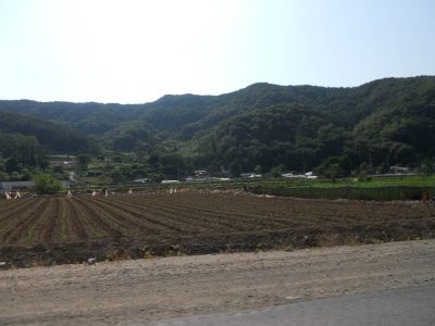 DSCN0529