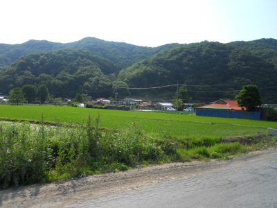 DSCN0530