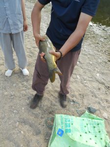 DSCN0542
