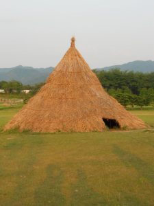 DSCN0553