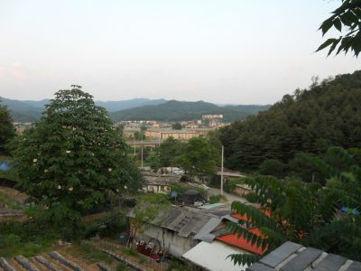 DSCN0566