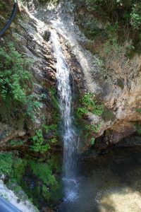 IMG_2961