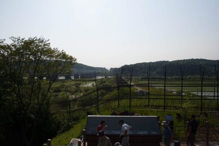 IMG_3017