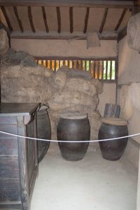 IMG_3117