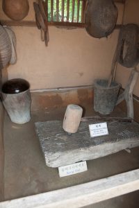 IMG_3126