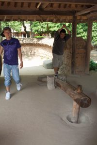 IMG_3136