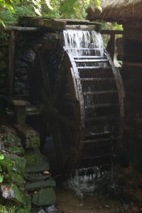 IMG_3231