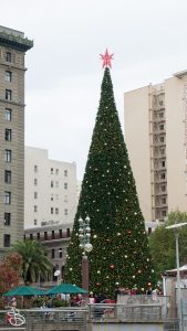 cali_2017-13