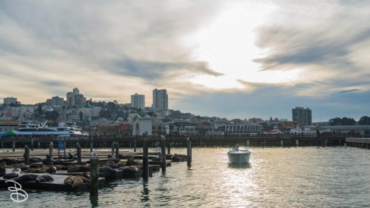 cali_2017-23
