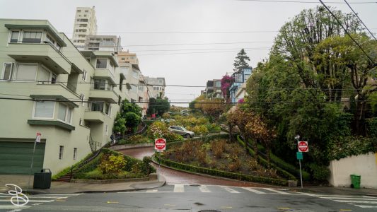 cali_2017-89
