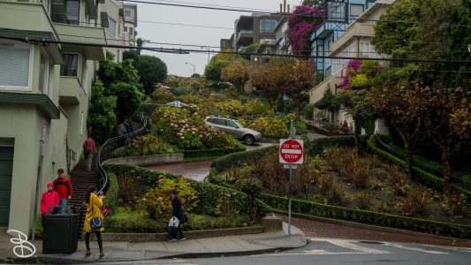 cali_2017-91