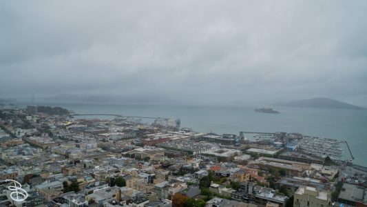 cali_2017-93