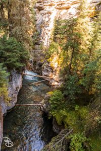 canada-2025-johnston-canyon-2