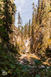 canada-2025-johnston-canyon-5