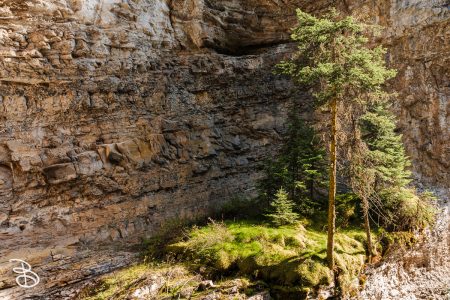canada-2025-johnston-canyon-8