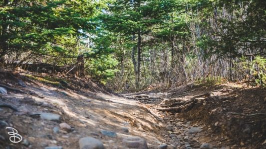 devils_kettle_2019-2