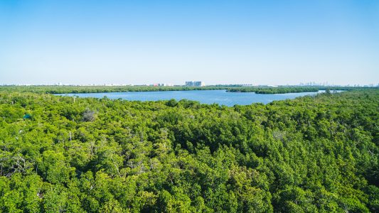 florida-2023-lake-forest-park-1